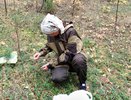 Где в кировских лесах собирают бруснику: место, где ягод всегда много