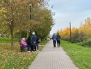 Мудрый человек промолчит в этих случаях: 7 ситуаций, когда лучше держать язык за зубами