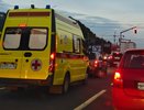 Рой пчёл атаковал кировчан и вызвал срочную проверку