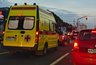 Рой пчёл атаковал кировчан и вызвал срочную проверку