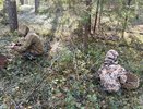 Где набрать полные корзины белых и рыжиков: карта осенних грибов в Кировской области
