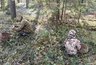 Где набрать полные корзины белых и рыжиков: карта осенних грибов в Кировской области