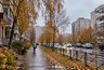 Аномальная осень с мокрым снегом и штормами: о чём россиян предупреждают синоптики — готовьтесь к контрастам
