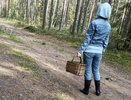 Самое грибное осеннее место нашли в кировских лесах