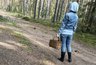 Самое грибное осеннее место нашли в кировских лесах