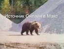 Огромный медведь вышел к кировским дорожникам