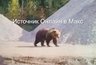 Огромный медведь вышел к кировским дорожникам