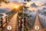 Какую роль вы играете в жизни? Выберите мост — и узнайте, лидер вы или ведомый