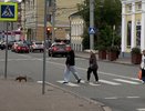 "Слышишь взрывы - и хочешь бежать": кировчане обратились к водителям