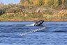 Двух рыбаков выкинуло с неуправляемой лодки на Вятке