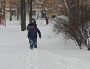 Метели принесут сугробы снега в Кировскую область