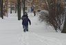Метели принесут сугробы снега в Кировскую область