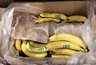 Продавцы "Магнита" и "Пятерочки" охотятся за этими пакетиками из коробок с бананами — ищите тоже, пока все не разобрали