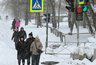 Сильный мокрый снегопад придет в Киров из-за погоды в Казахстане