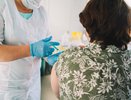 В Кировскую область привезли первую партию вакцины от гриппа