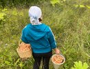 Житель Кирова набрал багажник с прицепом осенних грибов