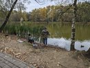 Точную дату бабьего лето назвали в Кирове синоптики