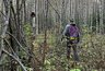 Опята пошли в Кировской области: где искать осенние грибы