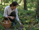 Гриб-монстр, который готовят шеф-повара: его боятся, а я собираю — тушу, жарю и делаю из него муку