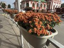 В Кирове меняют летние цветы на осенние