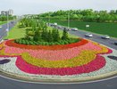 Чиновники объедут три города, чтобы удивить кировчан новыми клумбами и деревьями