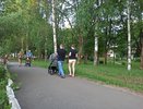 Владимир Путин утвердил звание для матерей
