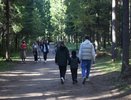 Со следующего года для семей с детьми введут универсальное пособие