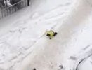 Воспитательницу, бросившую на дороге малыша, не будут привлекать к ответственности