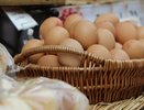 Власти рассказали, будет ли дефицит яиц после введения режима ЧС по птичьему гриппу