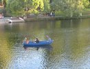 Погода в Кирове 15 – 21 июня: Нас ждёт похолодание