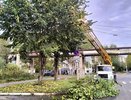 На улицах Кирова из-за сильного ветра погасли фонари