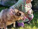В Кирове бабушке, которая жила с собакой на улице, восстановили документы и пенсию