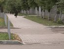 В Кирове отремонтировали тротуары на популярной улице