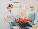 Кировчане активно пользуются услугами государственной сиделки