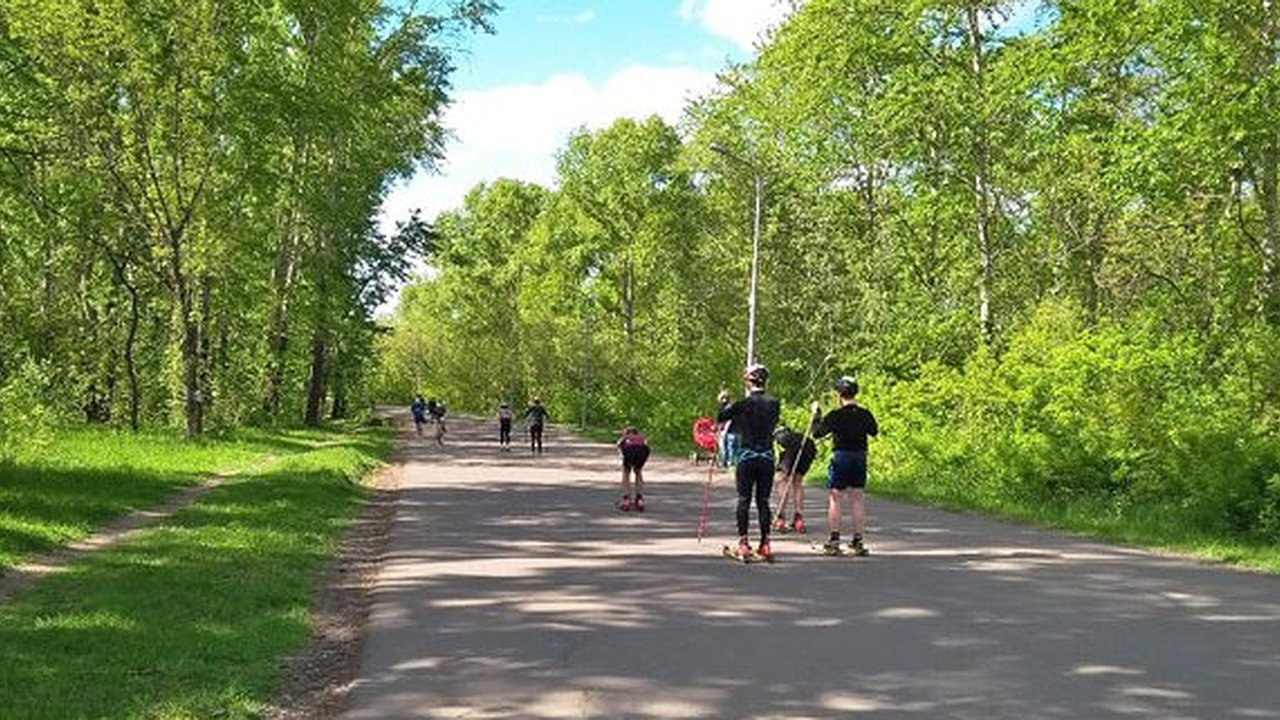 Главная картинка новости: В детские лагеря — только со справкой об отсутствии коронавируса