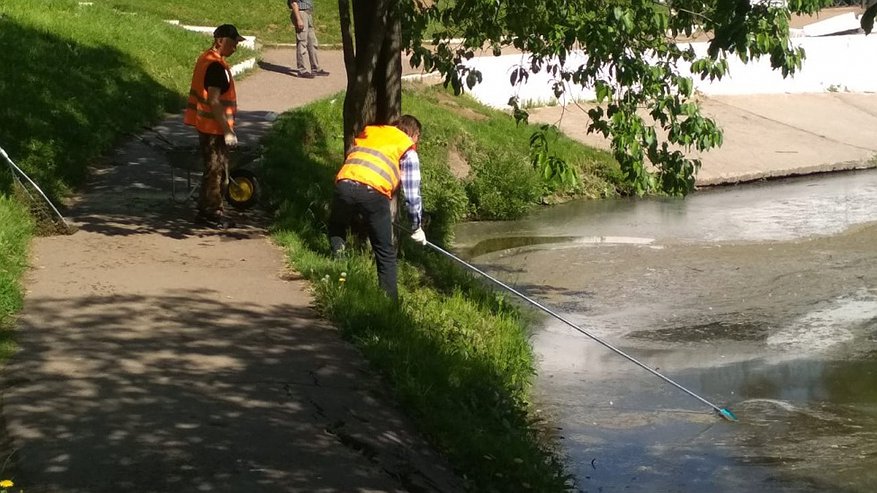 Главная картинка новости: Из пруда у цирка ежедневно вытаскивают тонны мусора