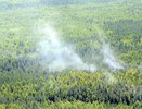 В Кировской области докупили летные часы патрулирования лесов на "кукурузнике"