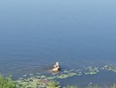 Кировчанин заснял на видео, как мужчины достают из реки мертвую женщину