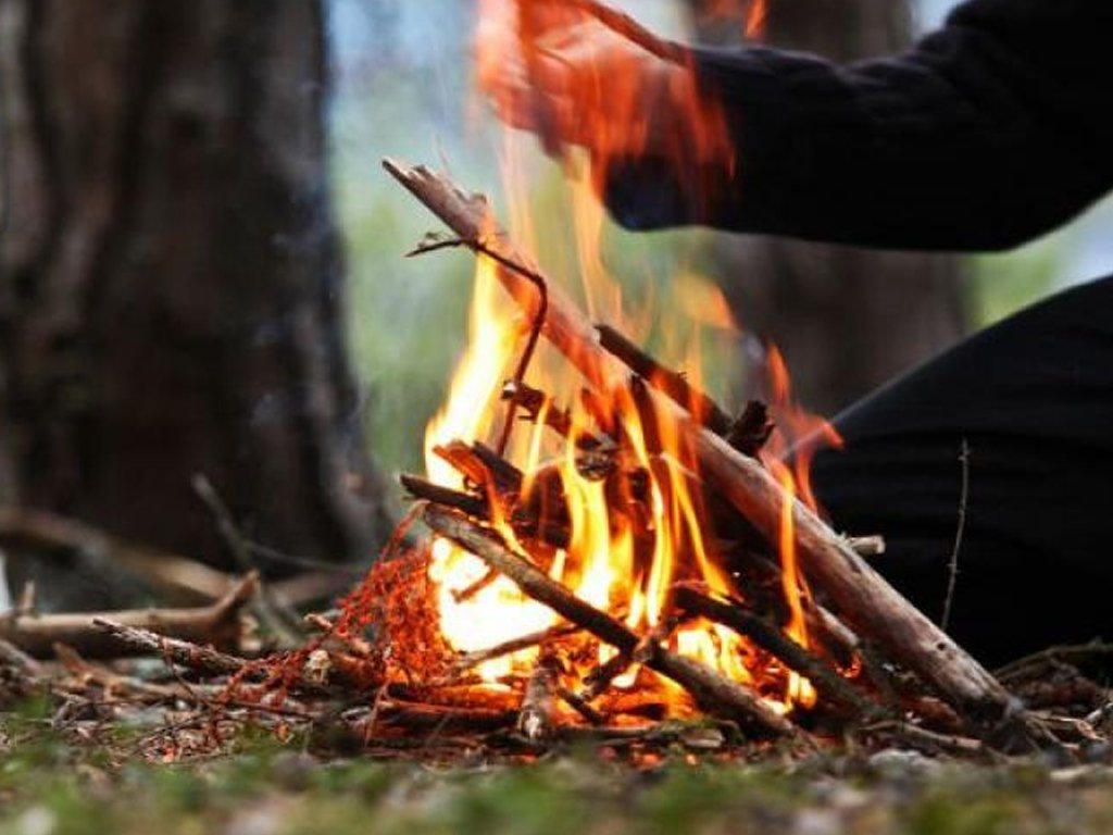 Можно ли разжигать костер на своем участке. Разжигание костра. Костер в лесу. Кострище в лесу. Разжигать костер.