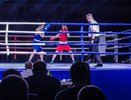В Киров на всероссийские соревнования по боксу приедут олимпийские чемпионы