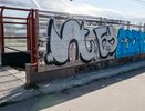 В Кирове уличным художникам предлагают закрасить "творчество" вандалов