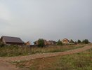 Президент России разрешил дачникам разводить птицу и кроликов в садах и огородах