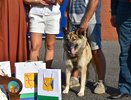 В Кирове вручили международную премию псу, который помог спасти людей из пожара