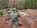 В Кировской области из-за загрязнения предприятием реки погибло много рыбы