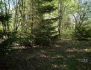 Кировской области 4 - летнего малыша нашли в лесу