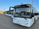 В Кирове отремонтируют кондиционеры в новых автобусах