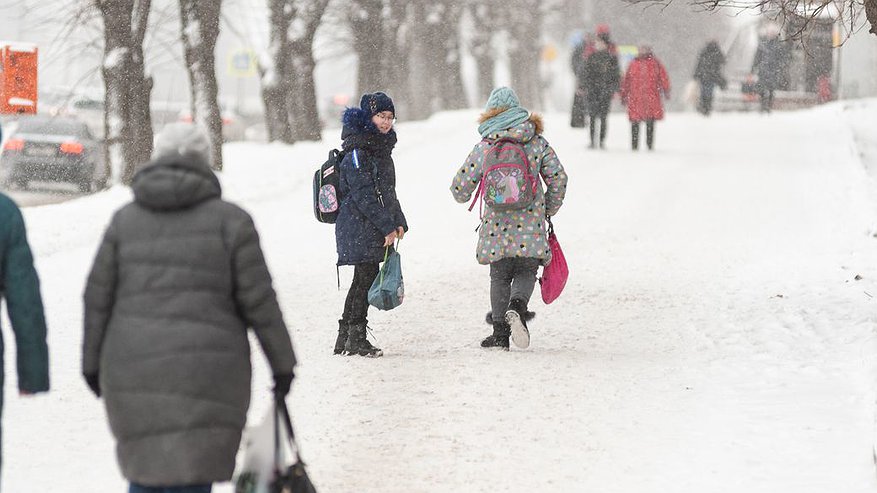 Главная картинка новости: Пропавшую кировчанку нашли в кустах в городском парке