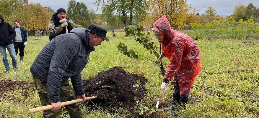 Сотрудники Сбербанка посадили яблоневый сад в селе Великорецкое