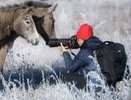 Кировчанин вошёл в топ-35 лучших фотографов России