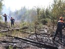 Запад Кировской области будет накрыт дымом от лесного пожара